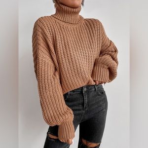 Shein ONE SIZE turtle neck sweater. super cute and only worn a couple times.